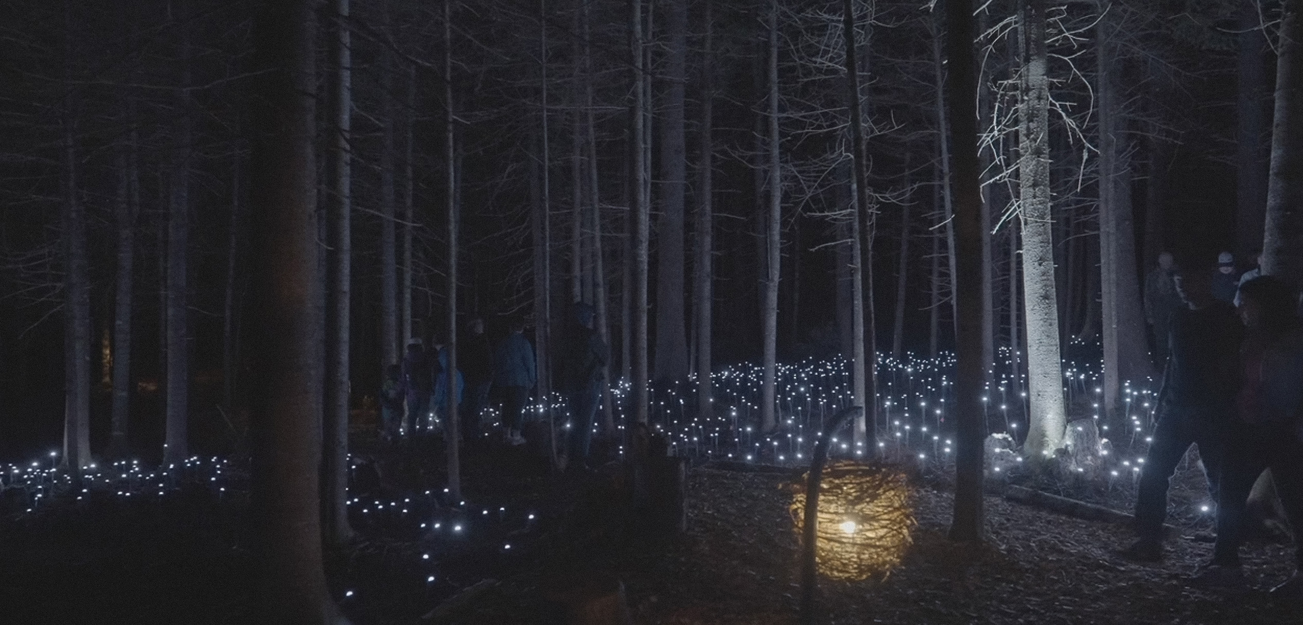 Screenshot 2025-11-16 005948-2[[