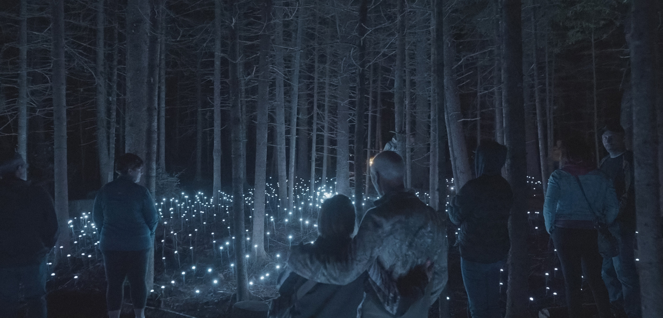 Screenshot 2025-11-16 005948-2