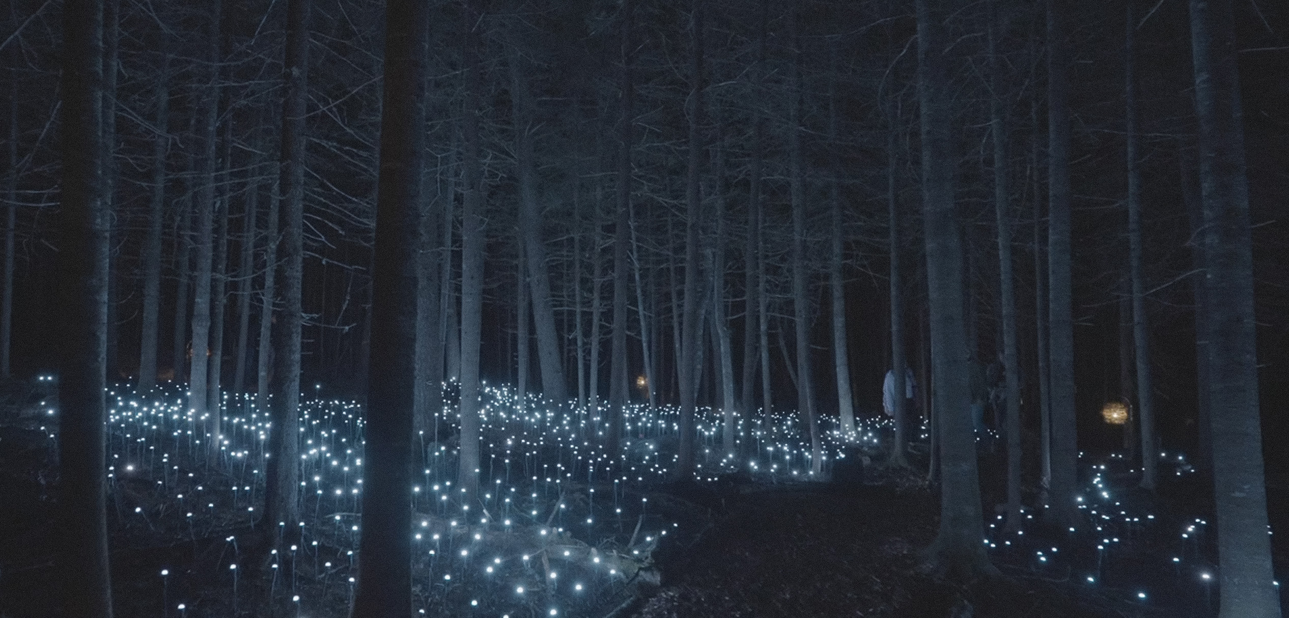 Screenshot 2025-11-16 005948-2i